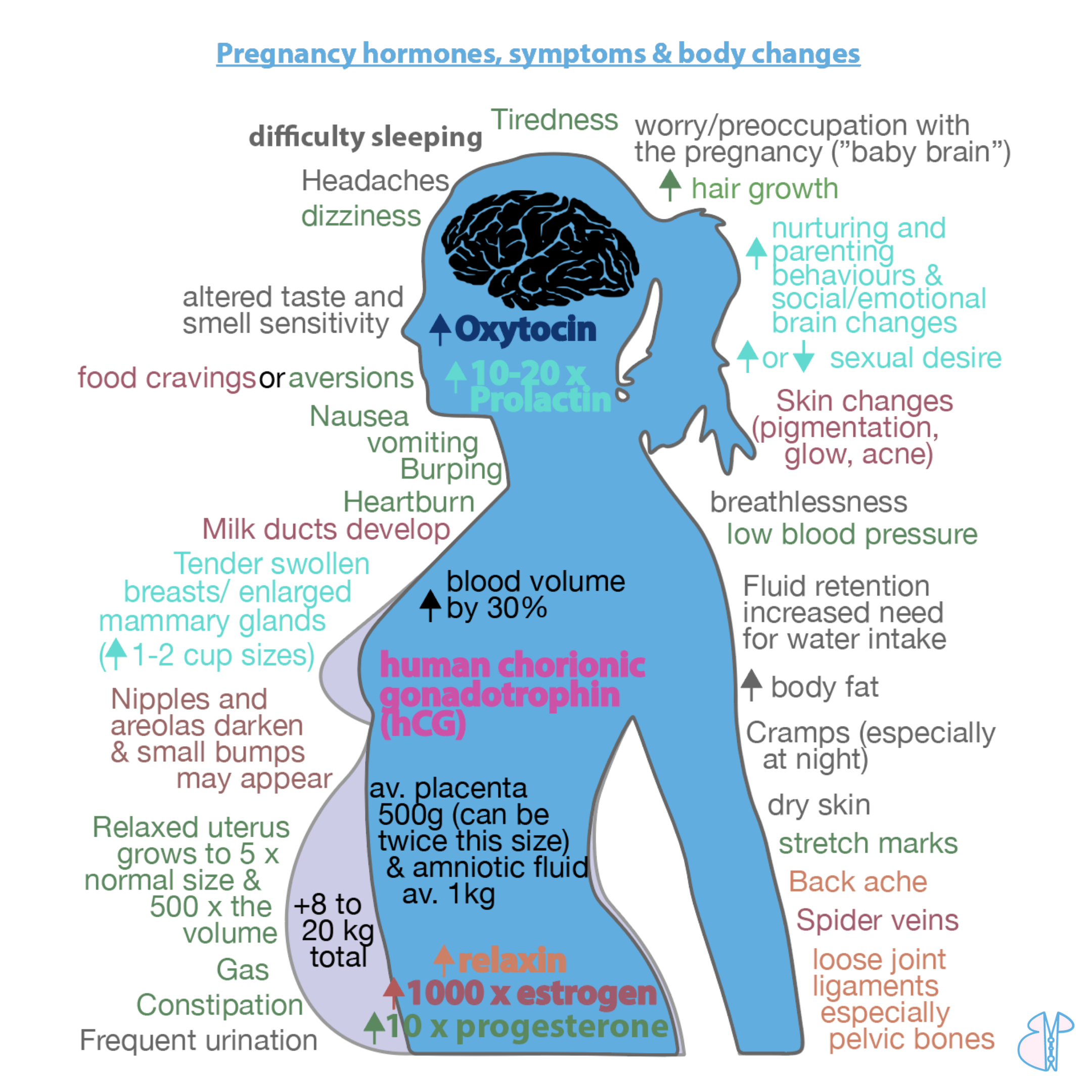 Pregnancy symptoms graphic